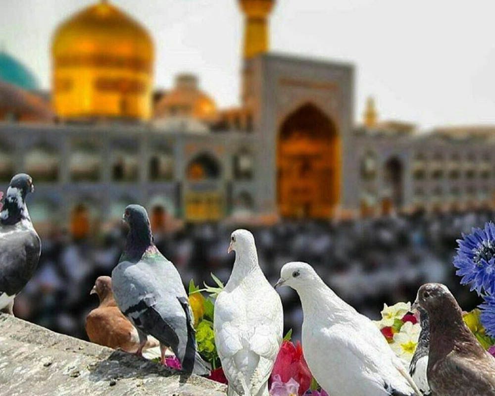 تور ریلی مشهد از رشت، زنجان و تهران